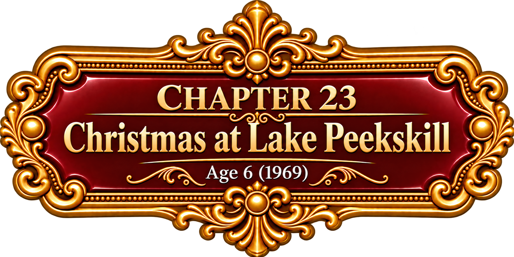 Chapter 23
